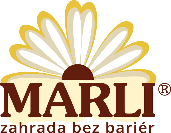 Primary Raster logo